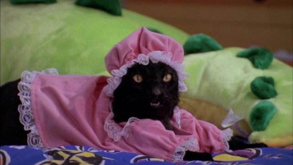 Sabrina: The Teenage Witch