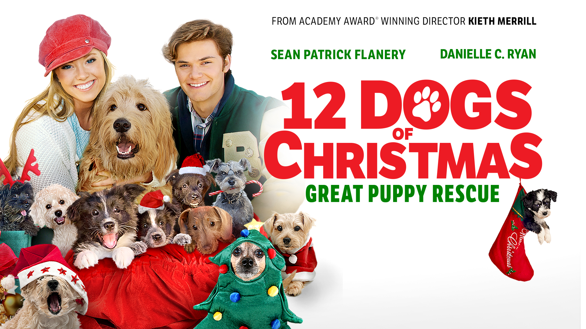 12 Dogs of Christmas 2: Great Puppy Rescue