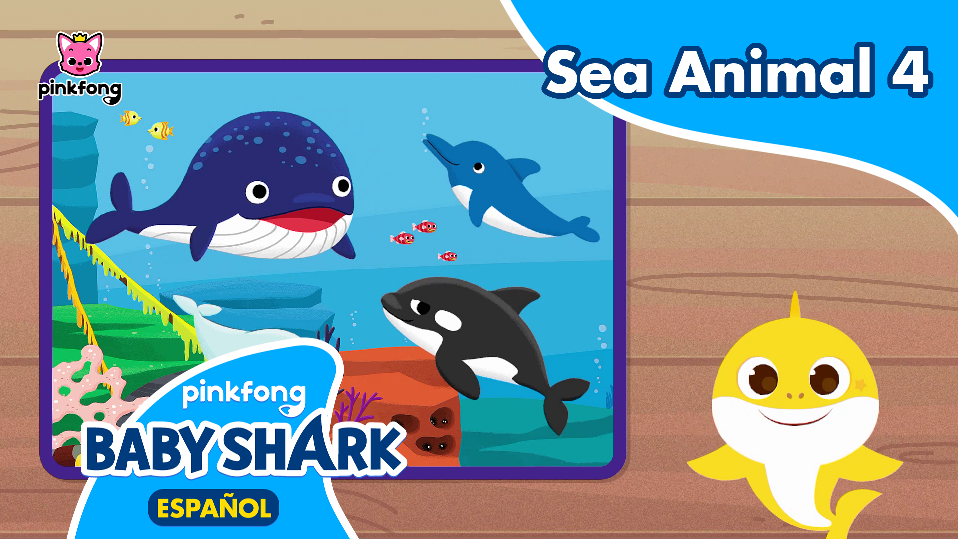 Al Escondite con Tiburón Bebé Sea Animal 4