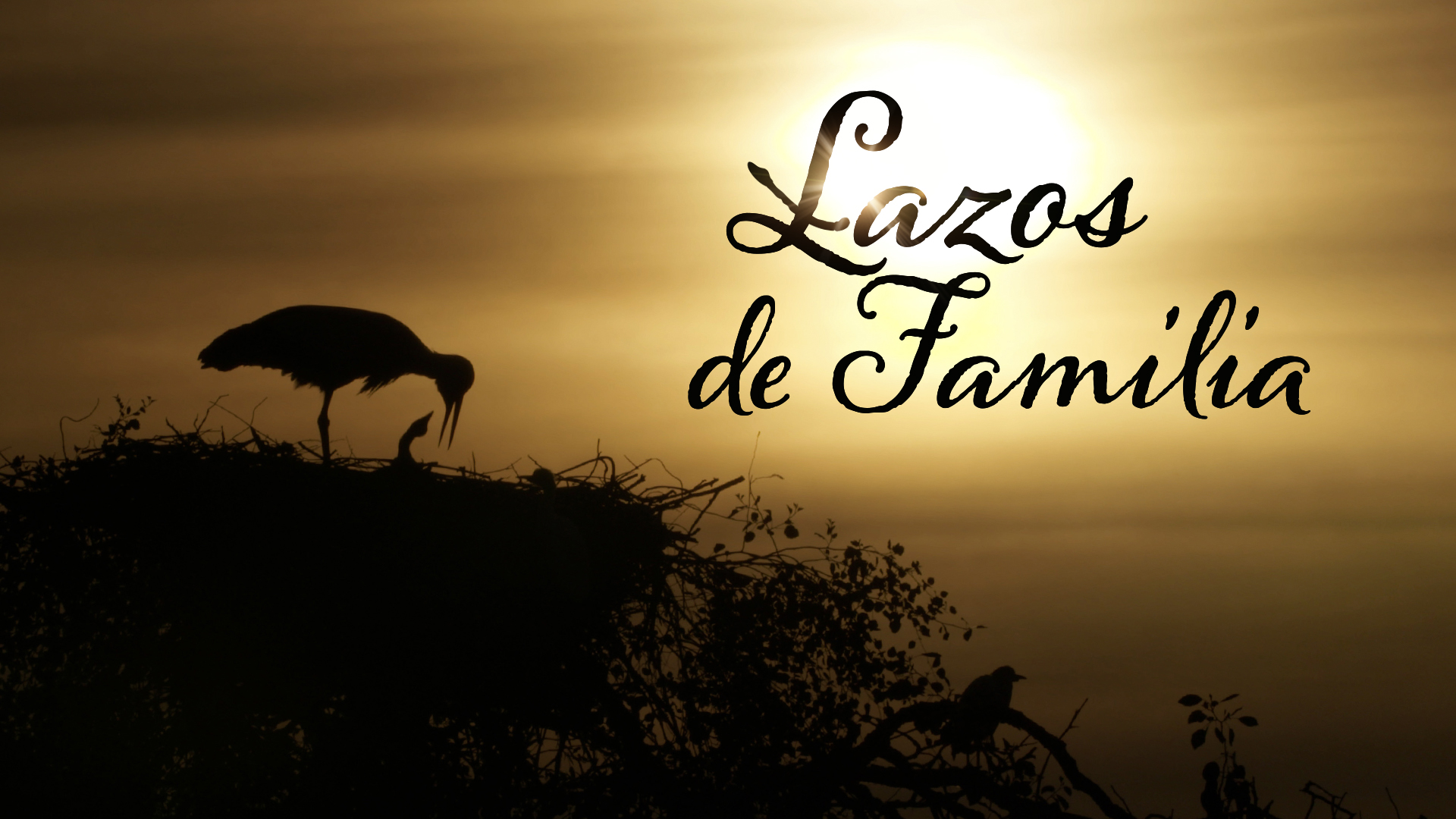 Lazos de familia