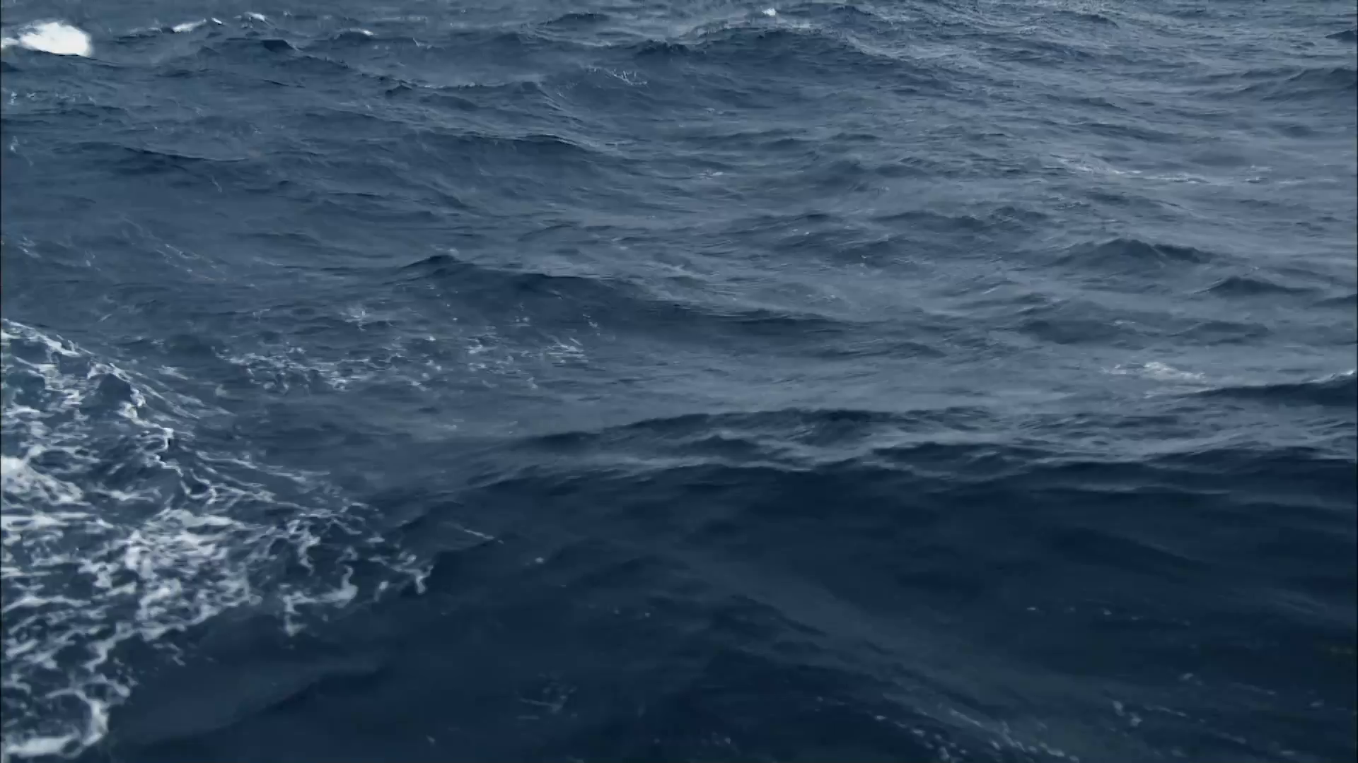 Aux origines de l'histoire