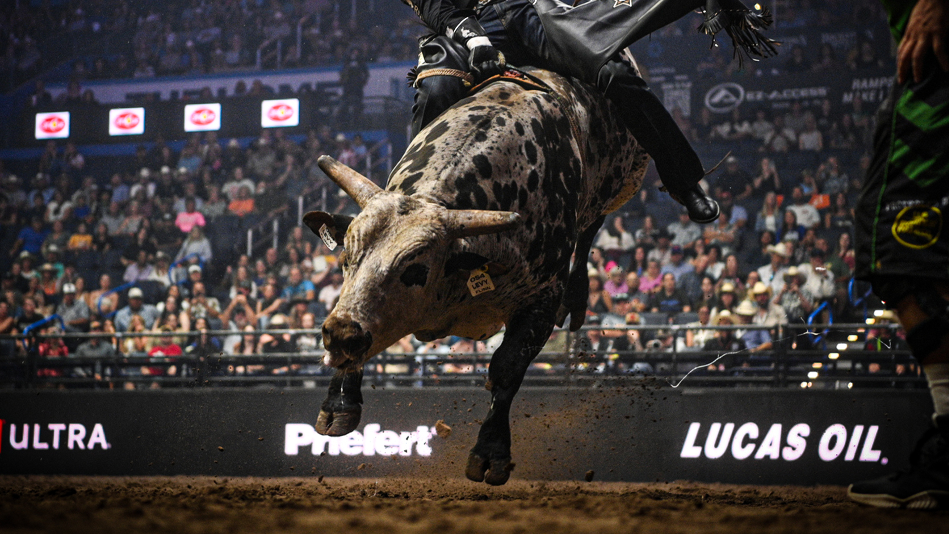 2025- PBR Velocity Series