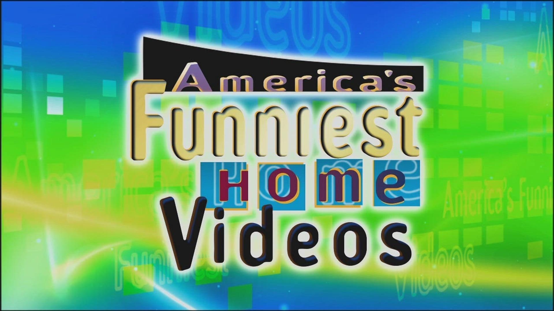 America's Funniest Home Videos