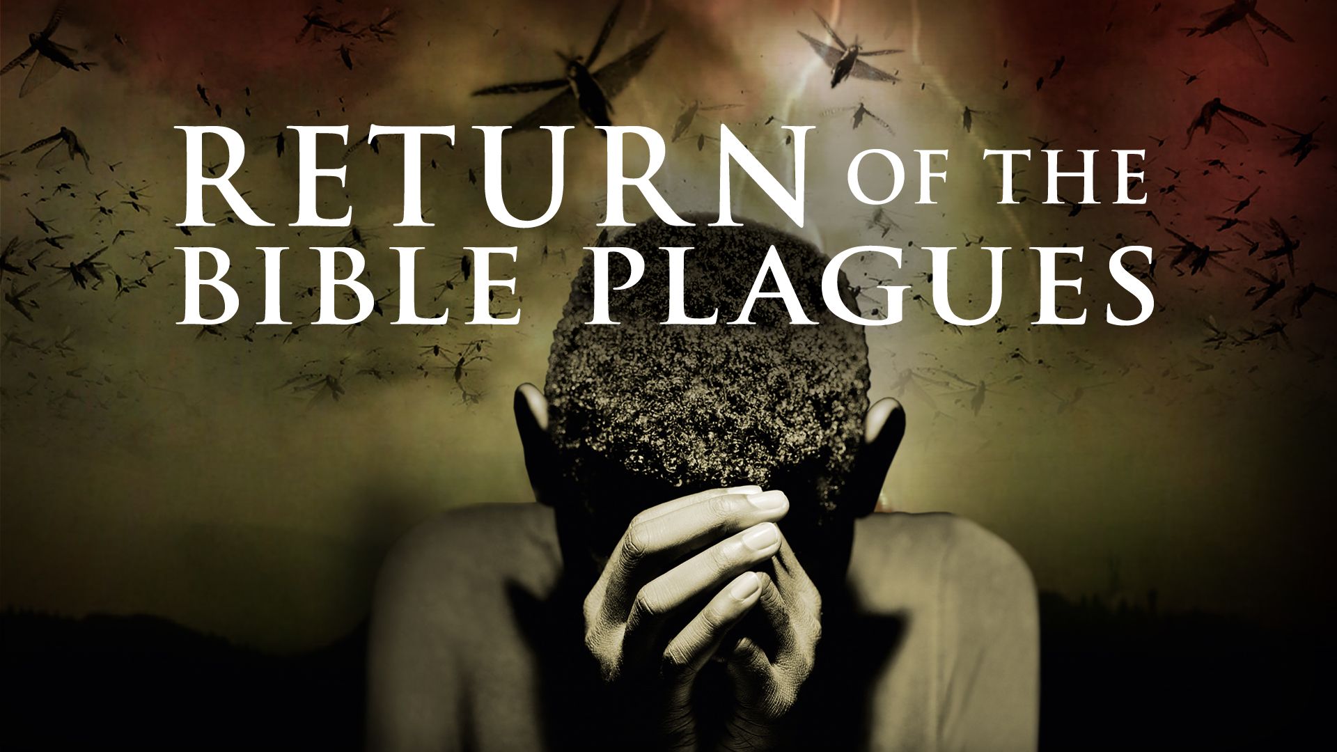 Return of the Bible Plagues