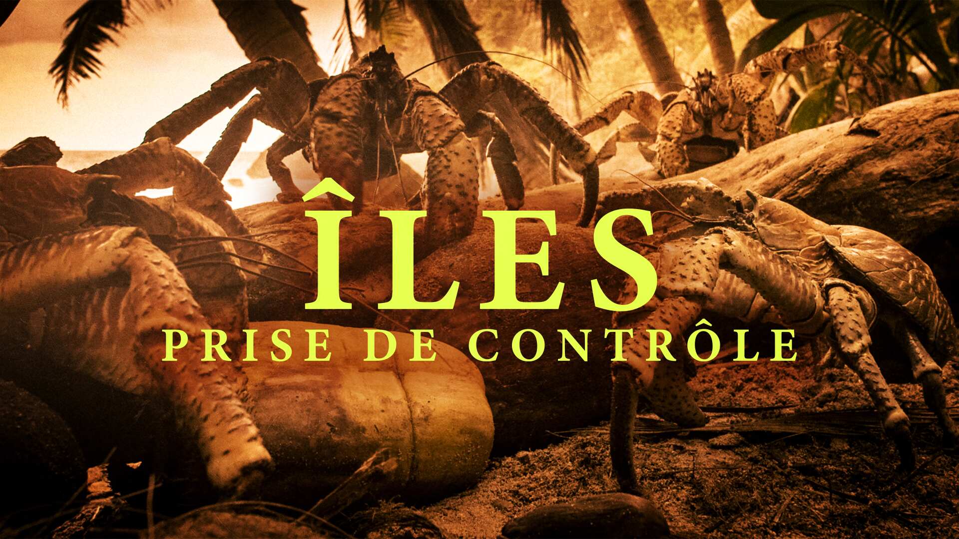 Îles: Prise De Contrôle