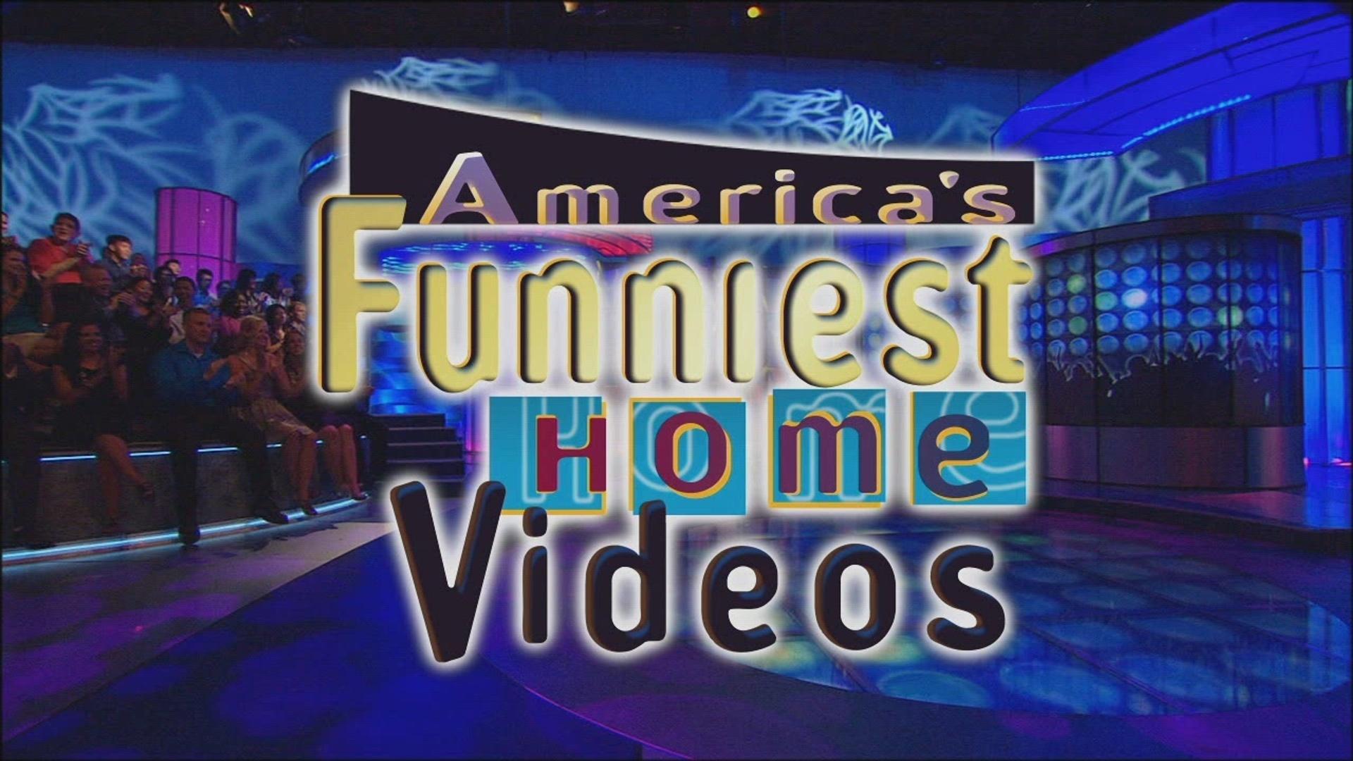 America's Funniest Home Videos