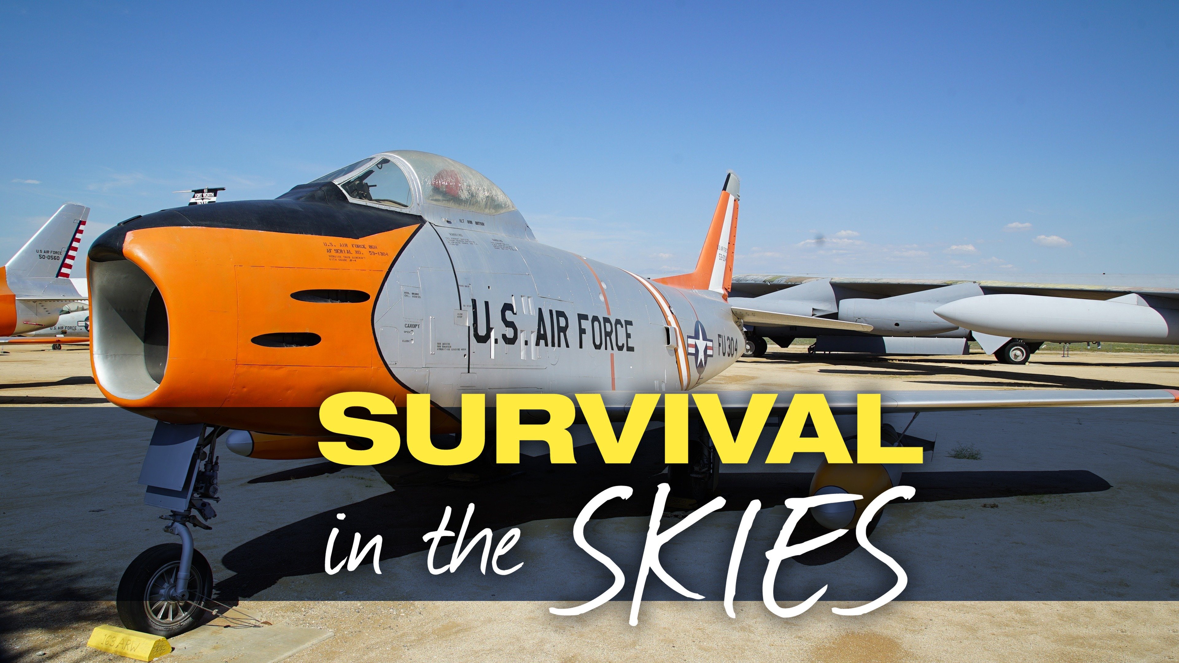 Survival in the Skies