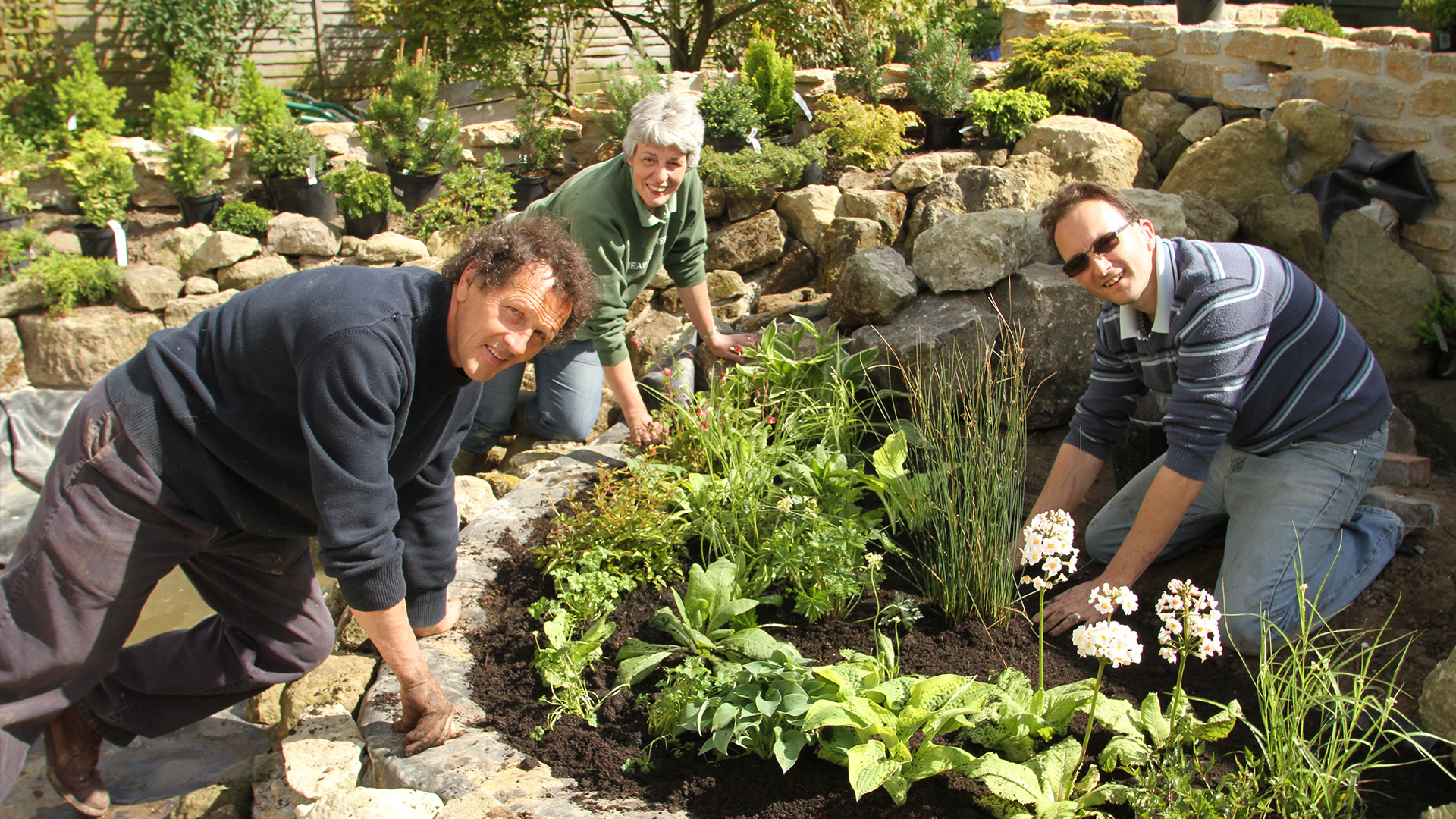 Big Dreams, Small Spaces