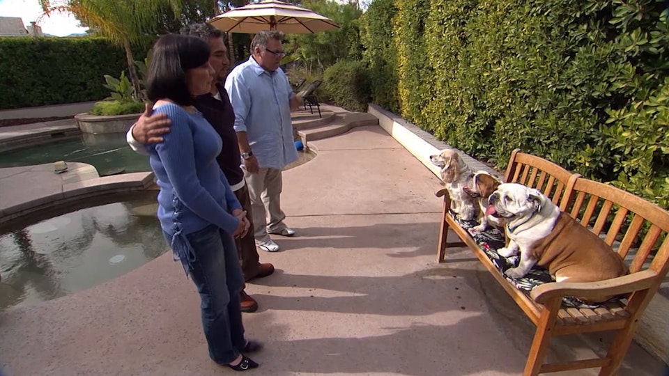 El encantador de perros