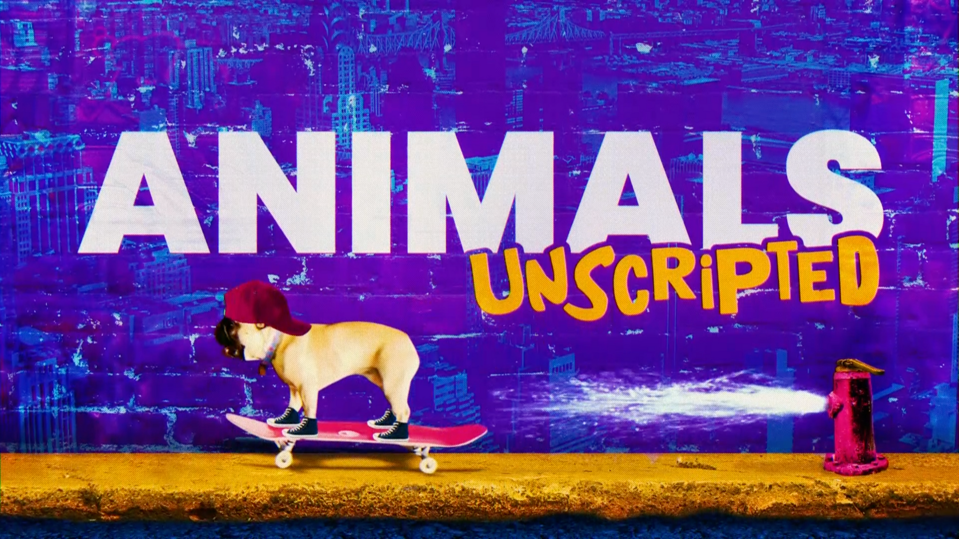Animals Unscripted