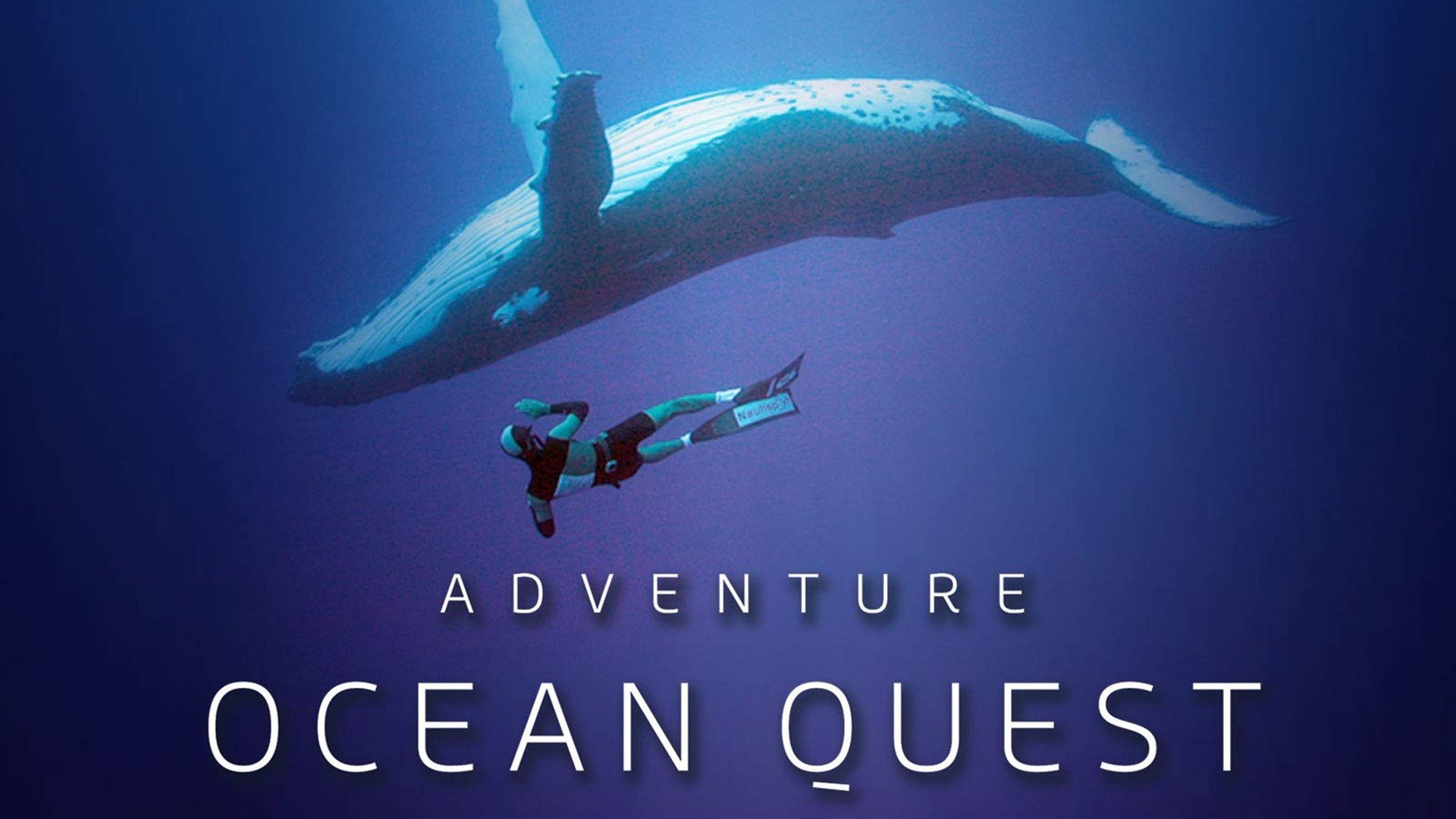 Adventure Ocean Quest