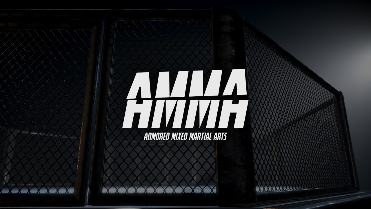 Armored MMA: 14: Pro Fights