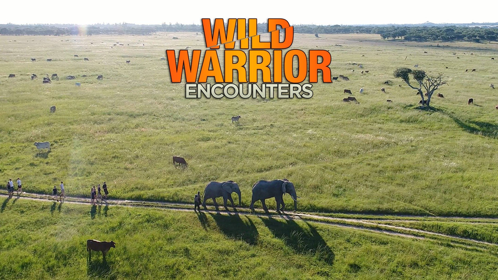 Wild Warrior Encounters