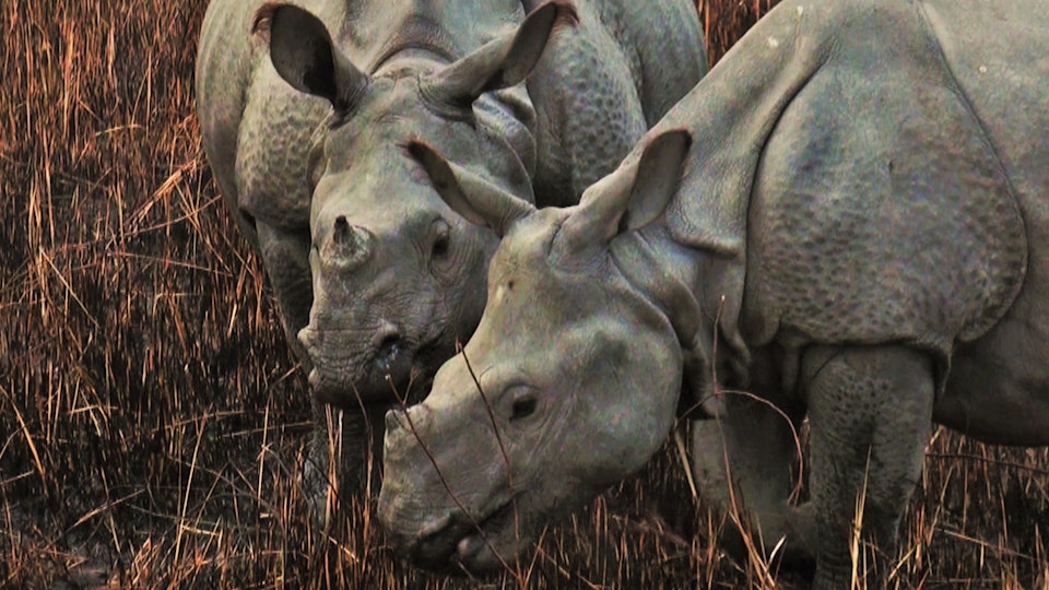 Bastion der Giganten