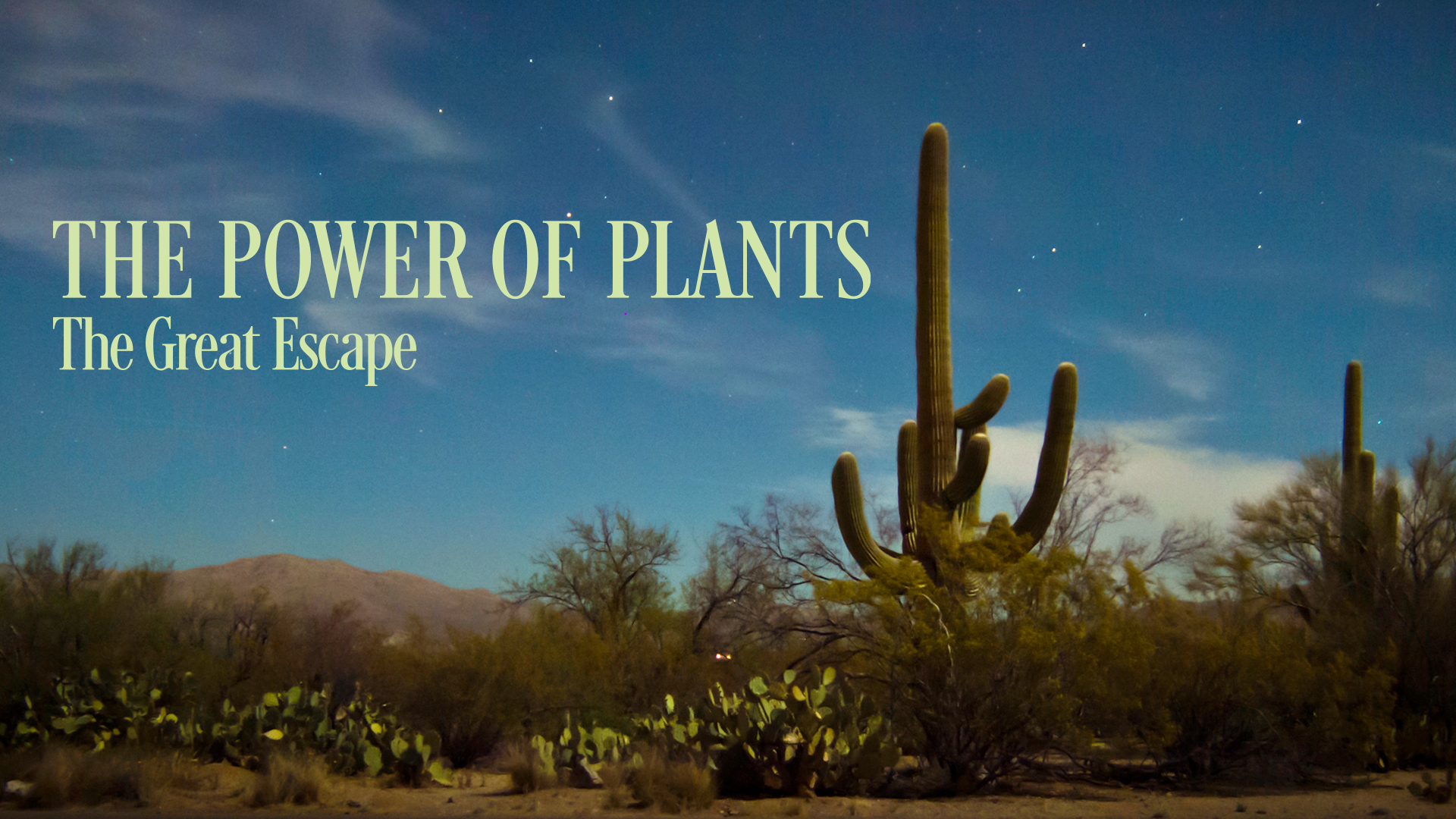 The Power of Plants  Race to Grow and Breed