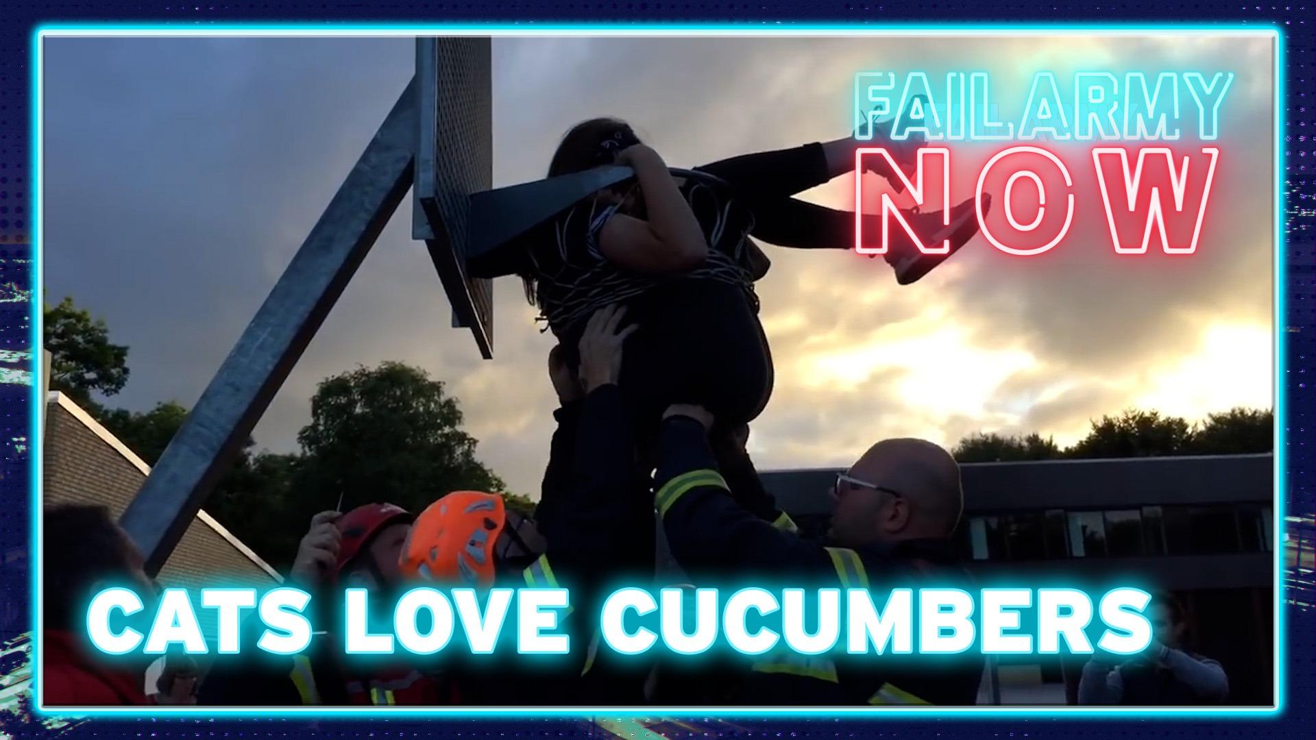 FailArmy Now