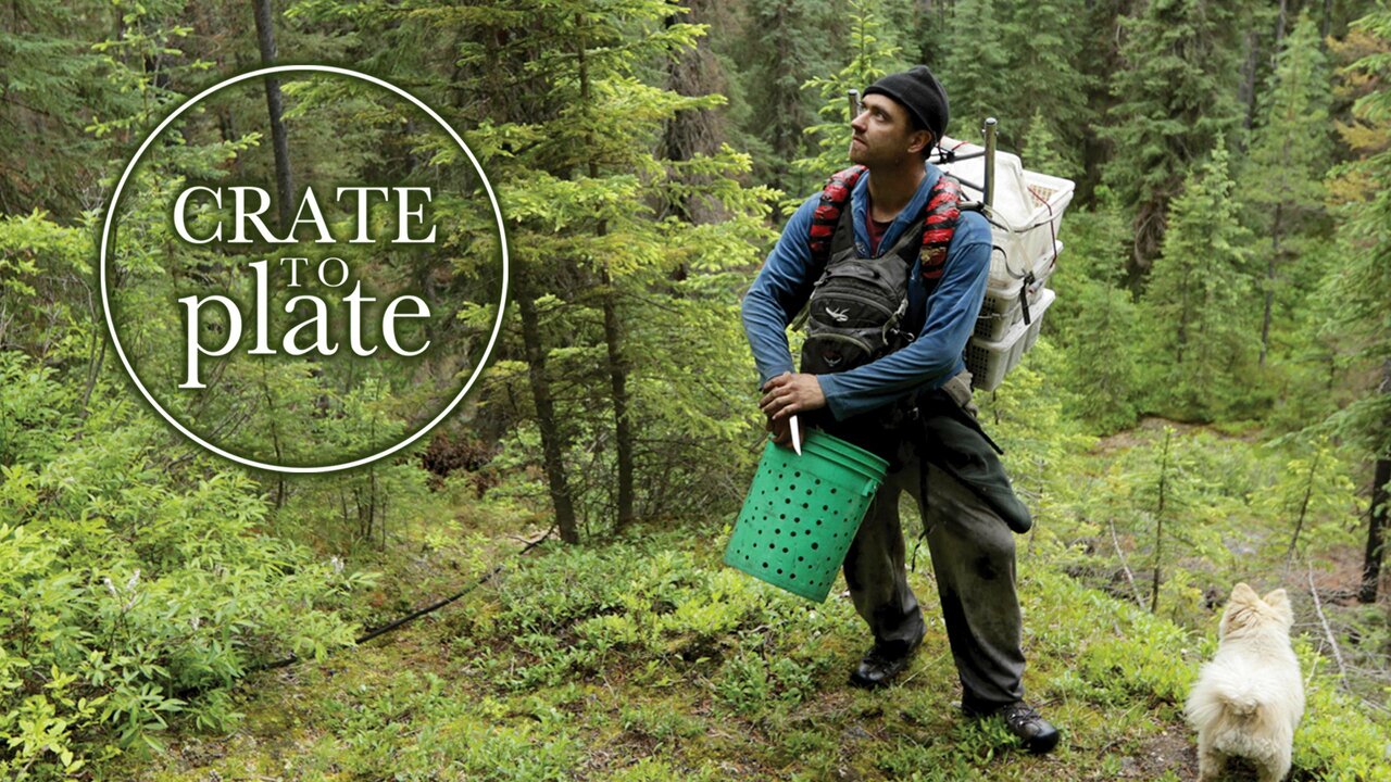 Crate to Plate: Morels