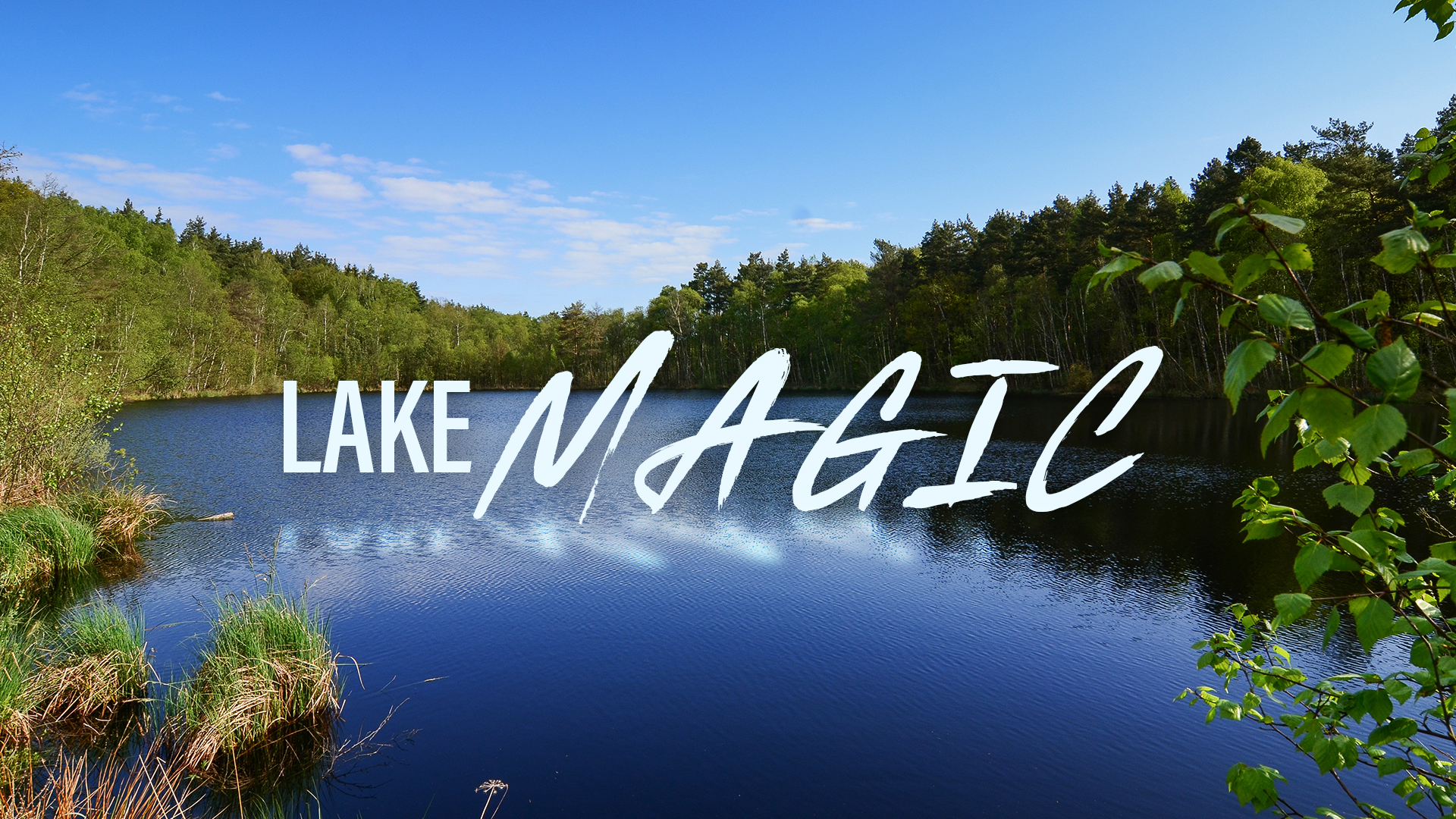 Lake Magic