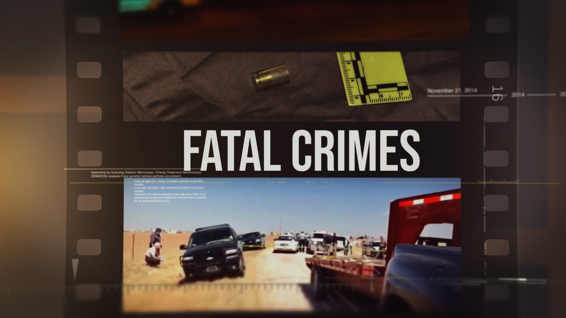 Fatal Crimes