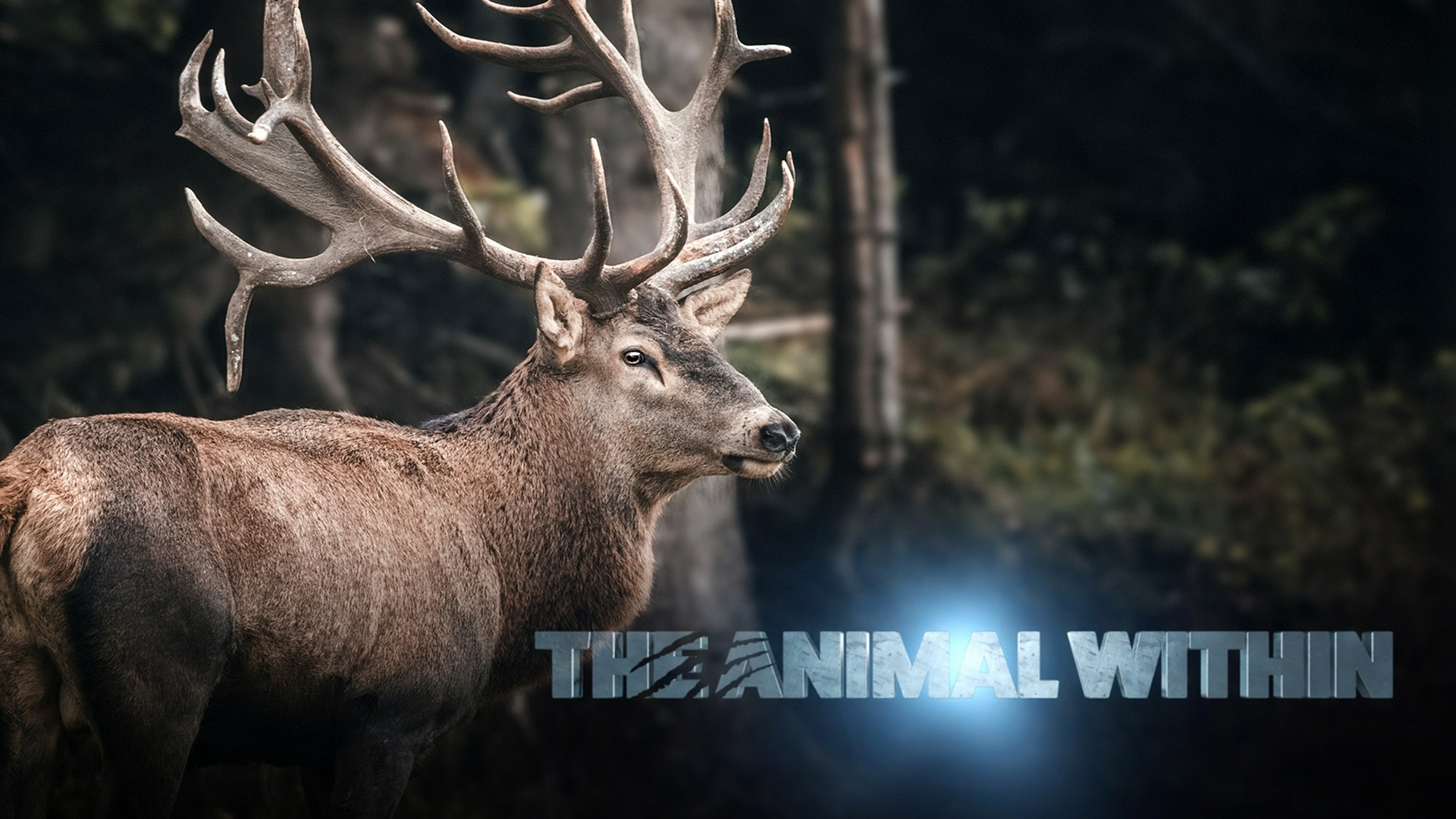 The Animal Within