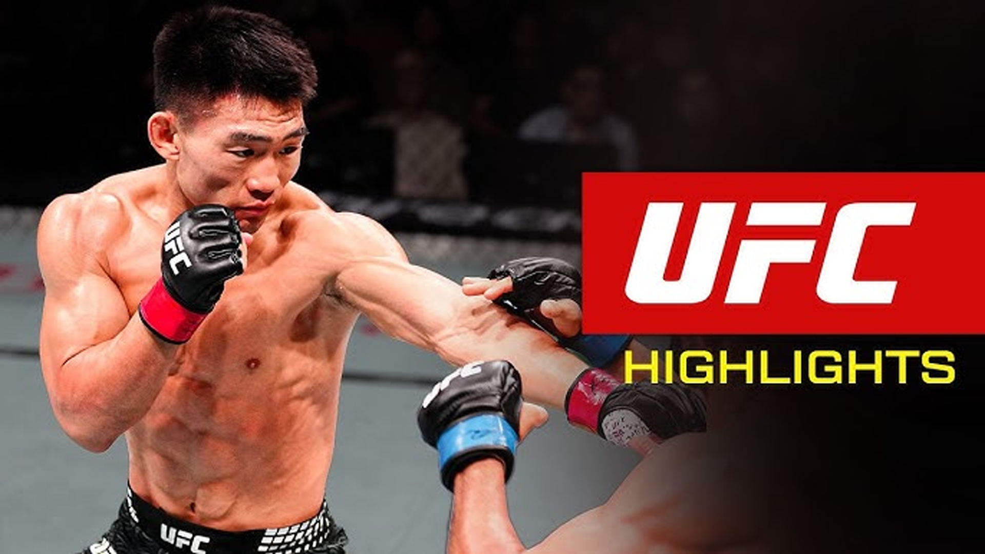 Every FINISH From UFC Macau | UFC Highlights