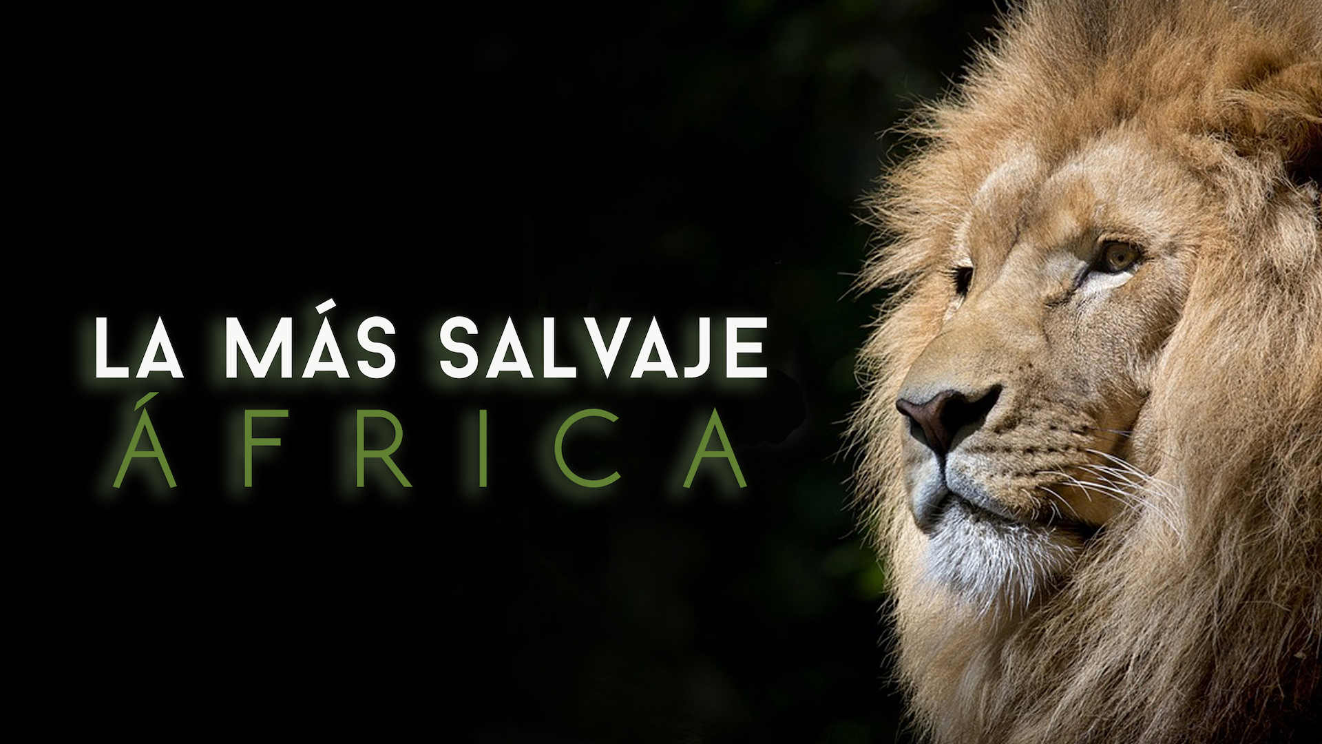 La más salvaje: África