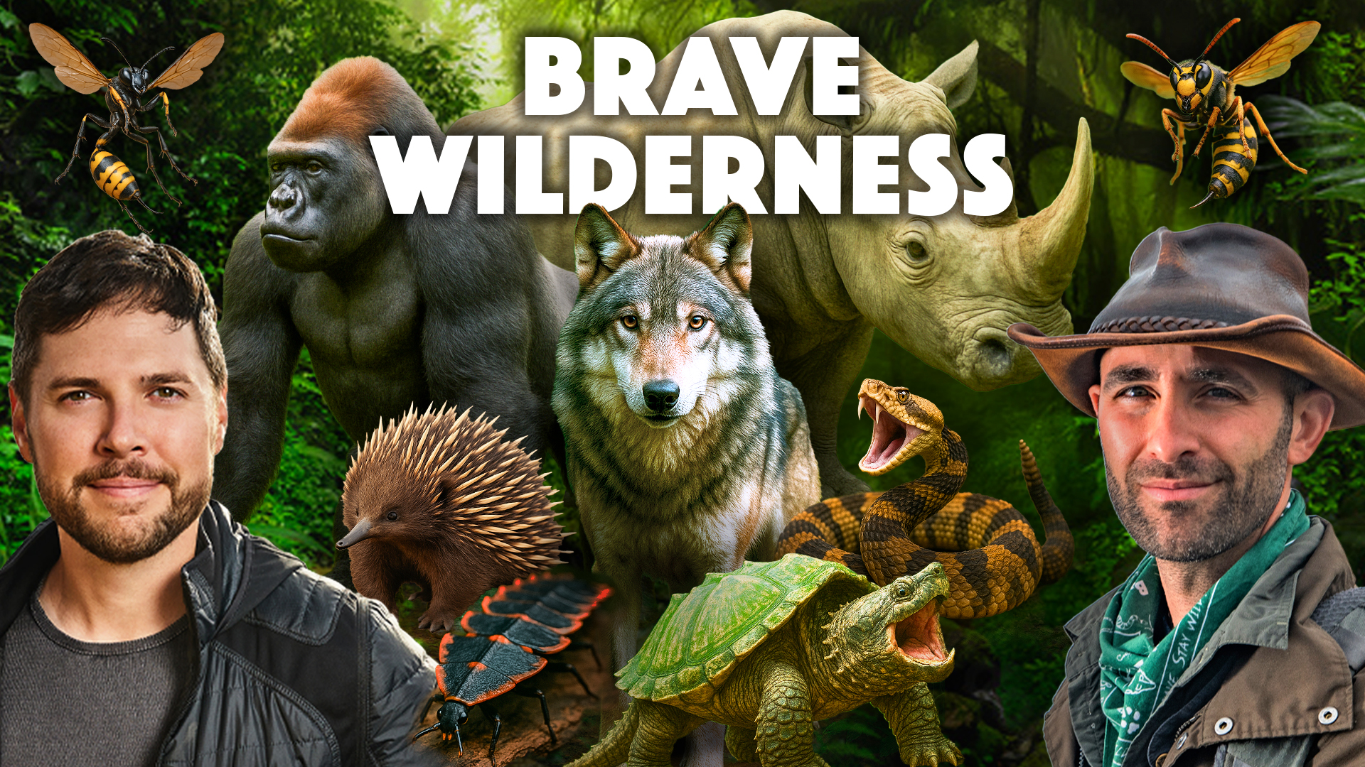 My Precious! – Coyote Goes Full Gollum!