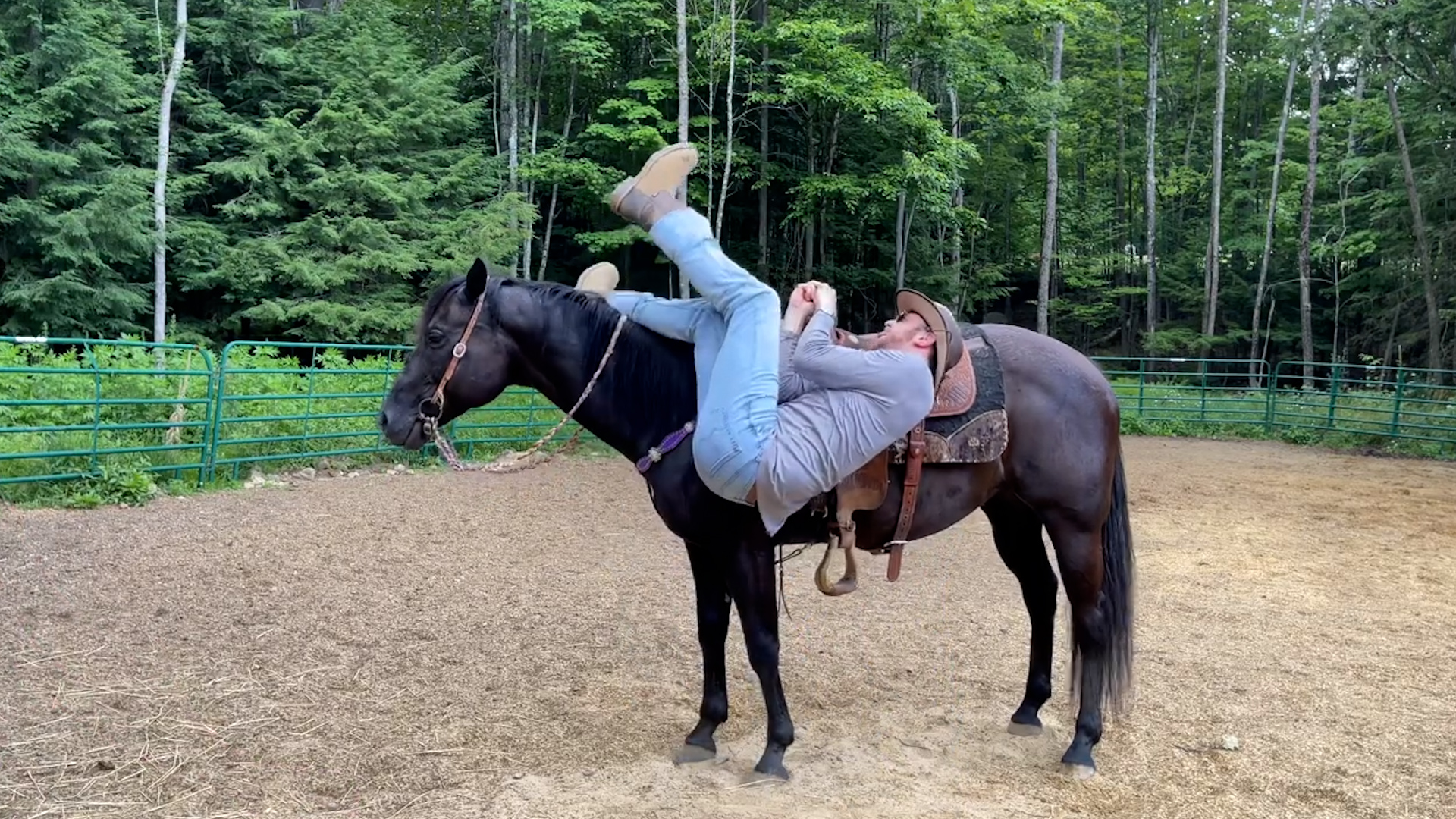 Humans VS. Everything