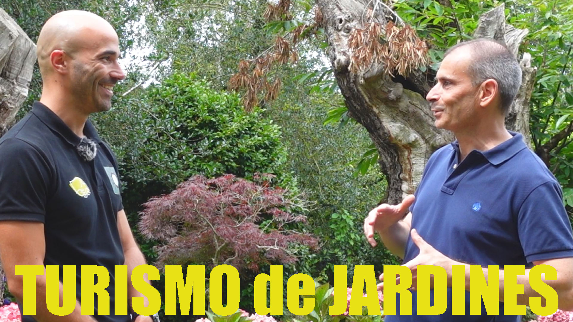 Jardines en Ruta: Bosque-Jardín de la Fonte Baixa en Luarca, Asturias