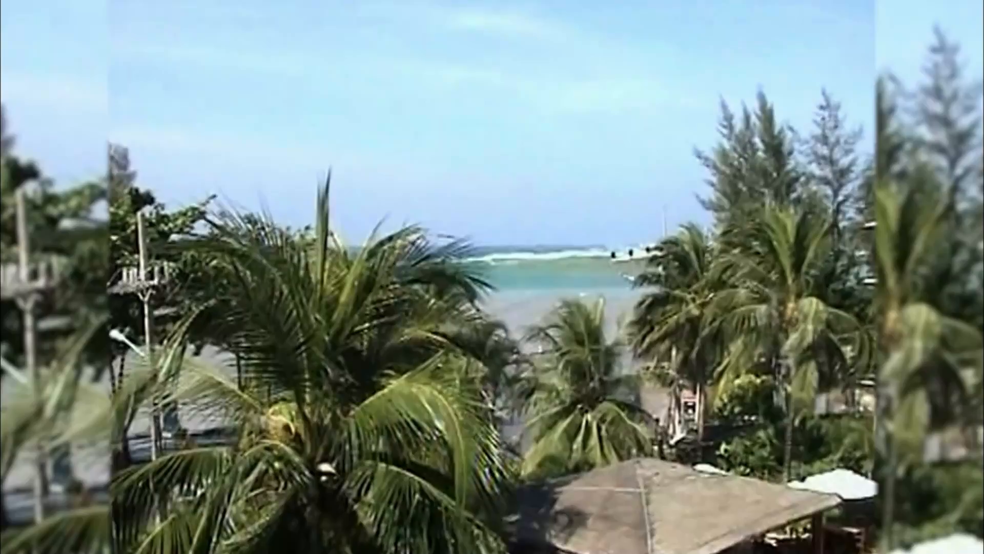 La science des forces de la nature