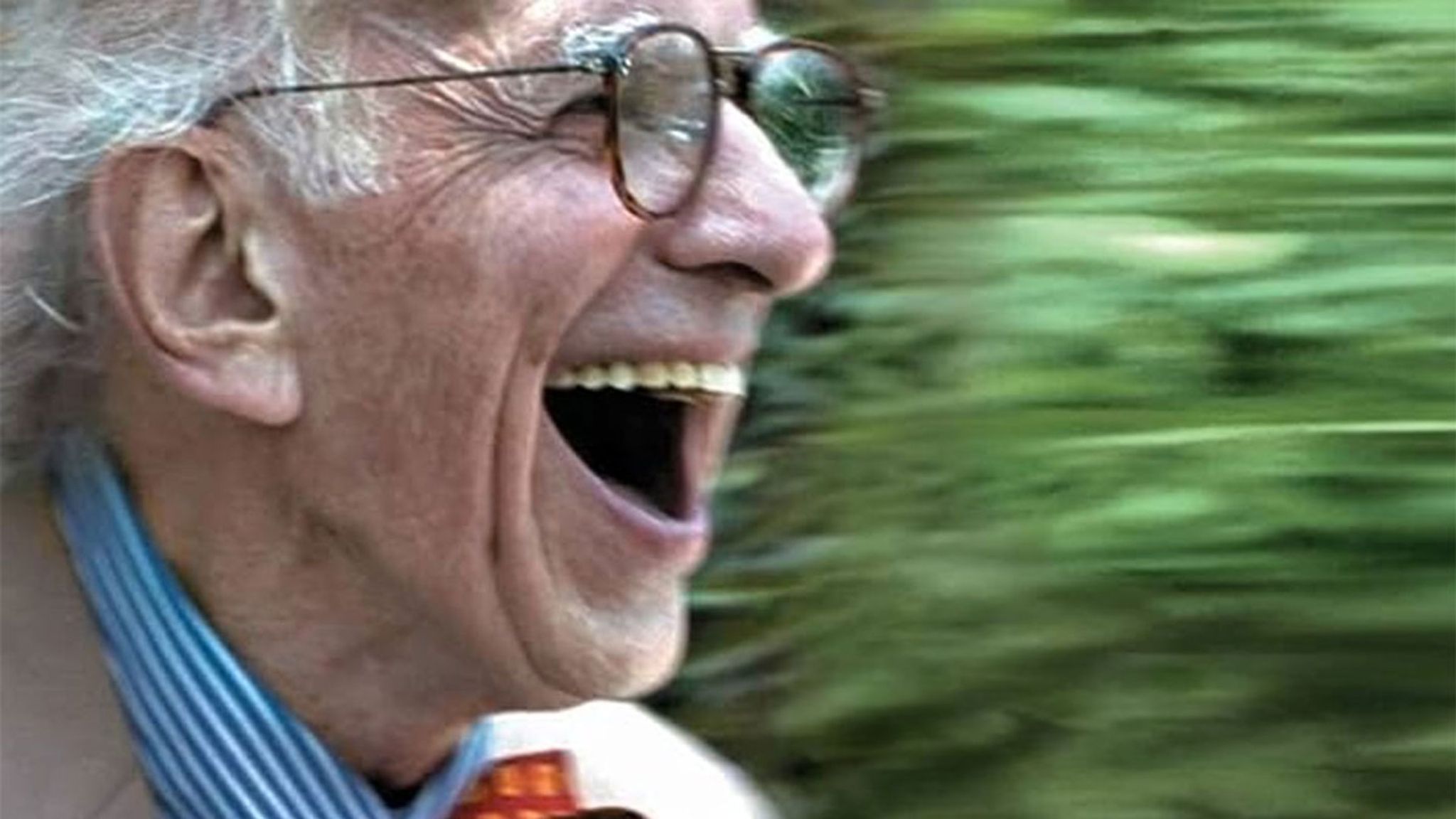 Auf der Suche nach dem Gedächtnis