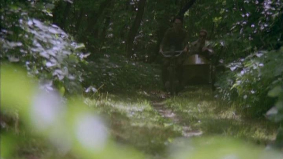 Un Orso Di Nome Winnie