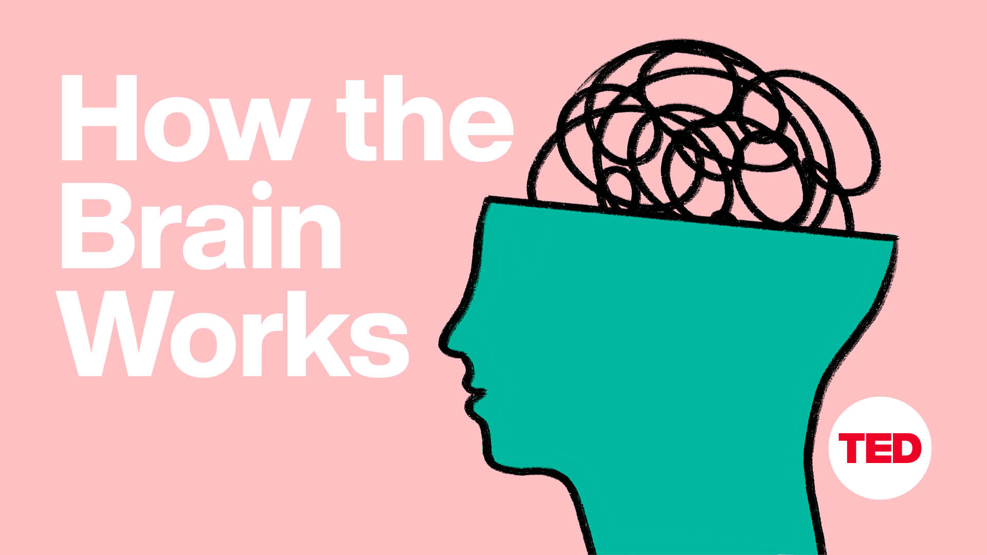 How The Brain Works EP06