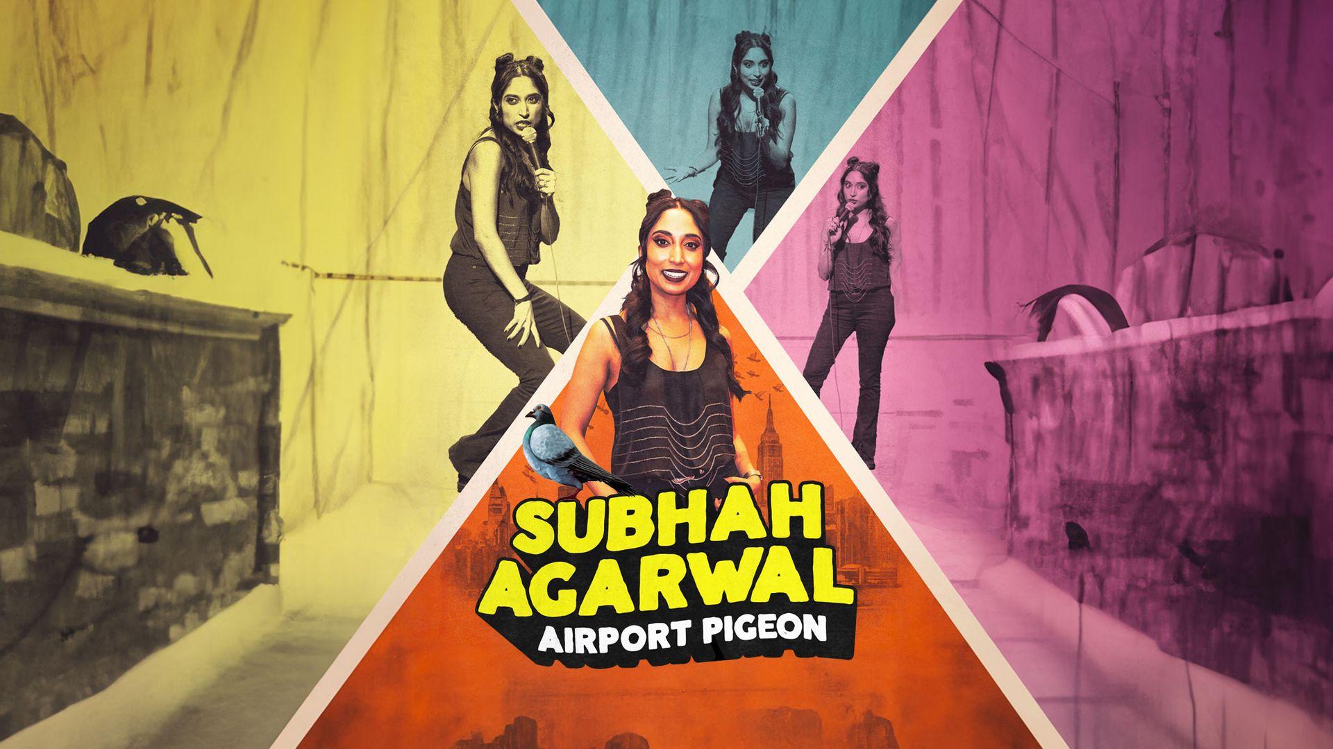 Subhah Agarwal Airport Pigeon
