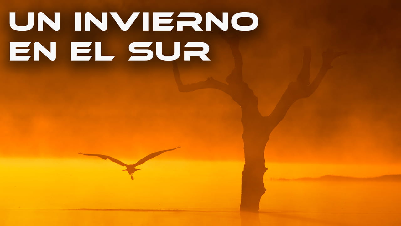 Un Invierno en el Sur