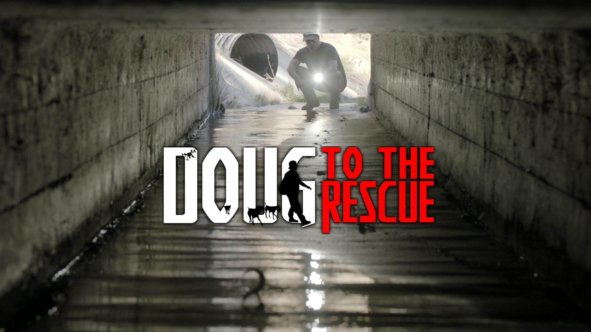 Persiguiendo a Ghost