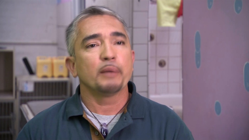 El encantador de perros