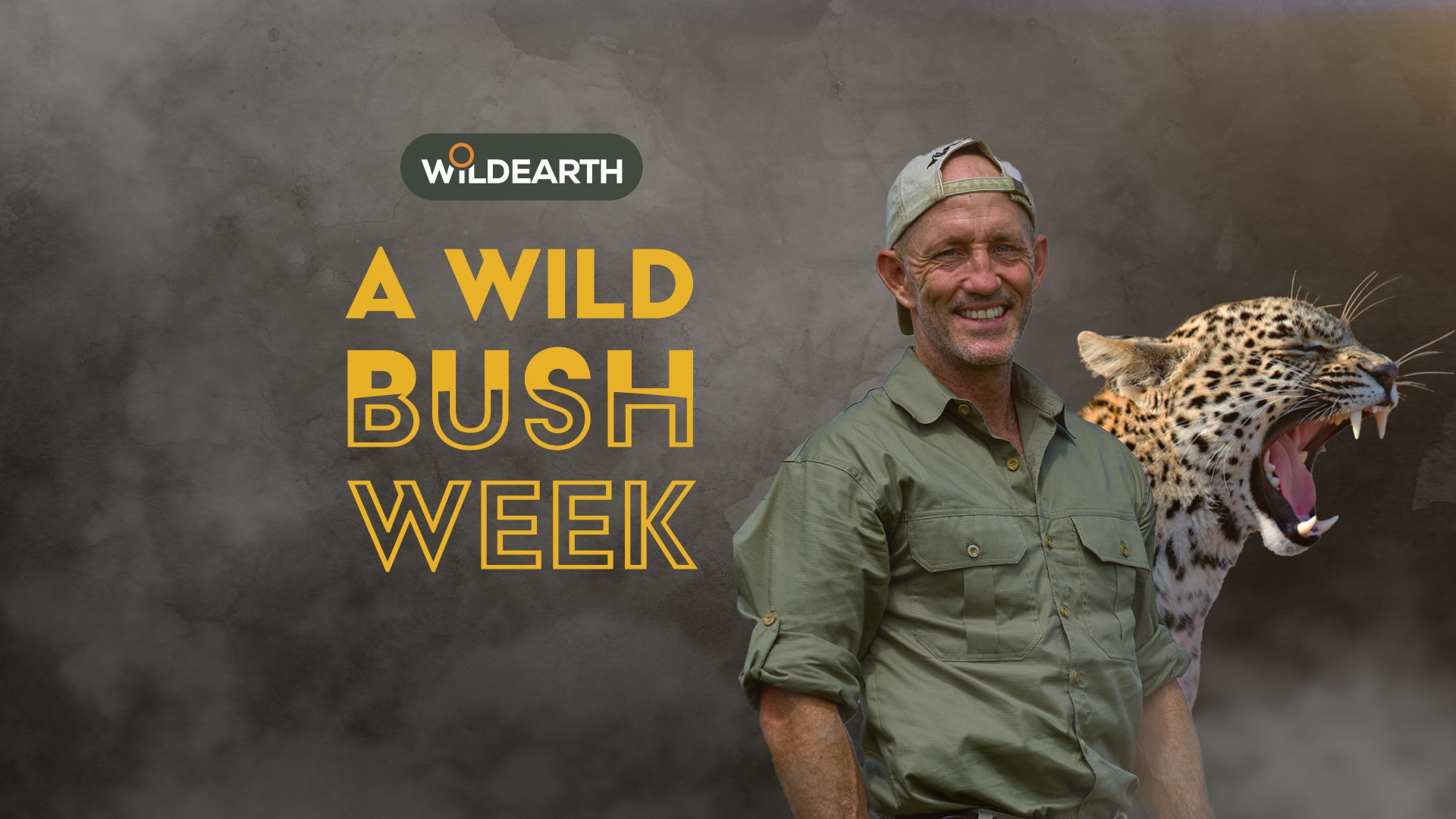 A Wild Bush Week