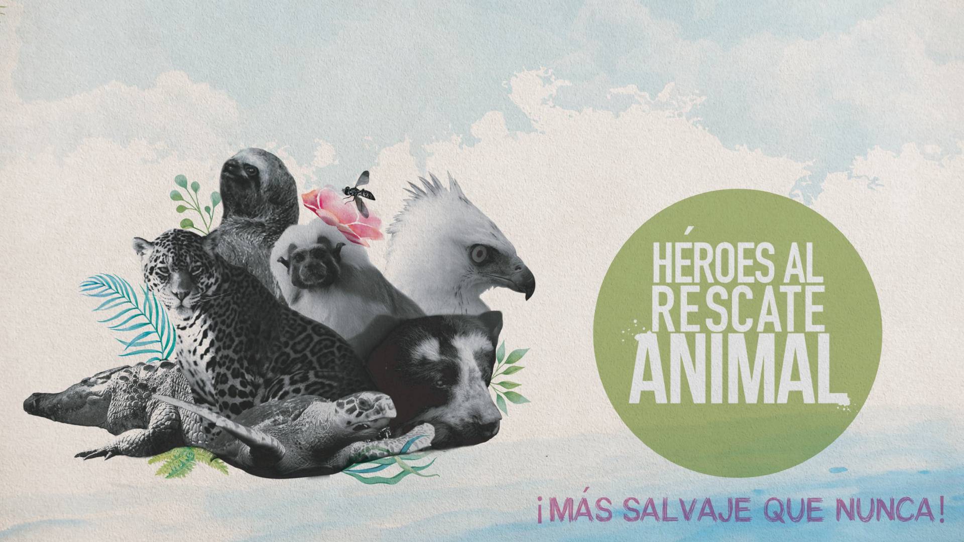 Héroes al Rescate Animal