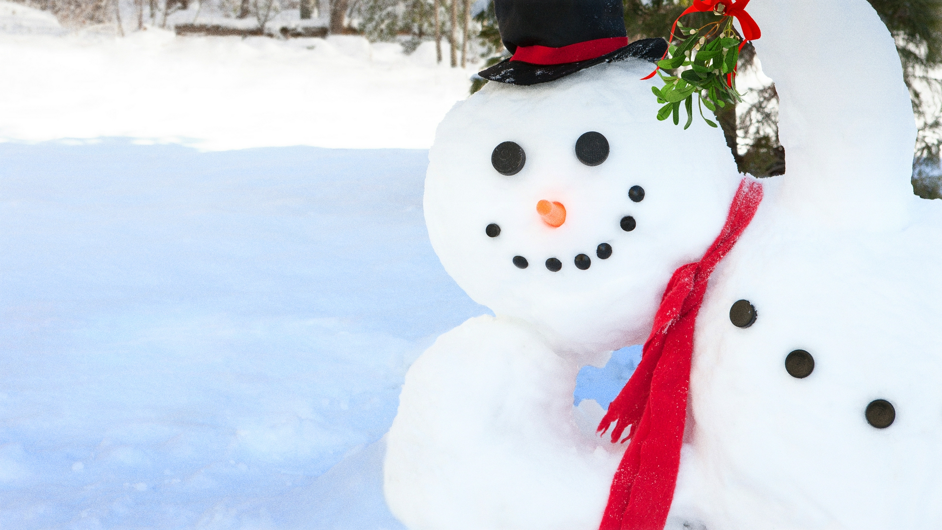 The Christmas Snowman