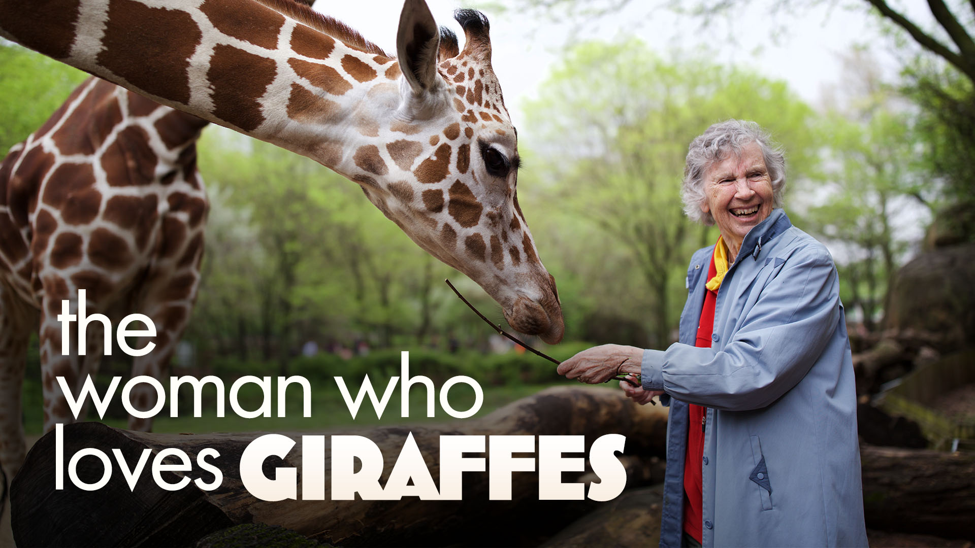 The Woman Who Loves Giraffes