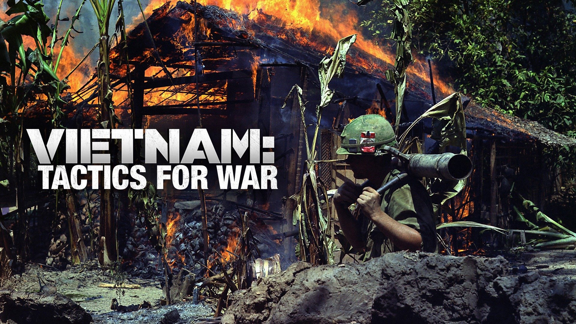 Vietnam: Tactics for War