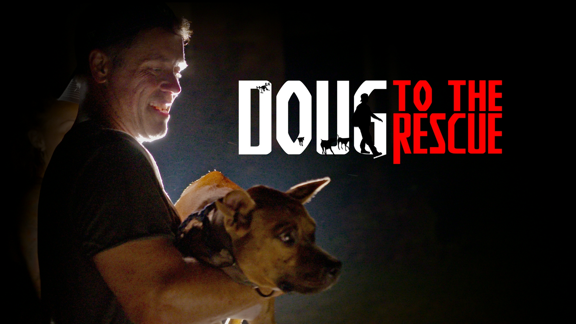 Los perros perdidos de Louisiana