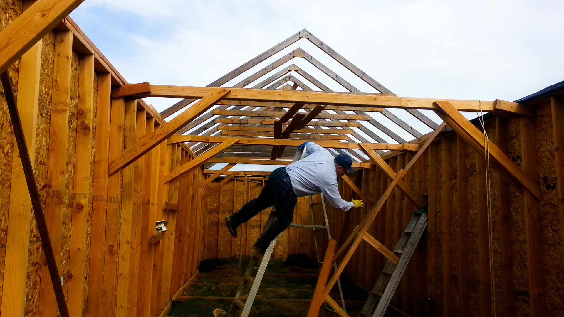 Humans VS. Everything