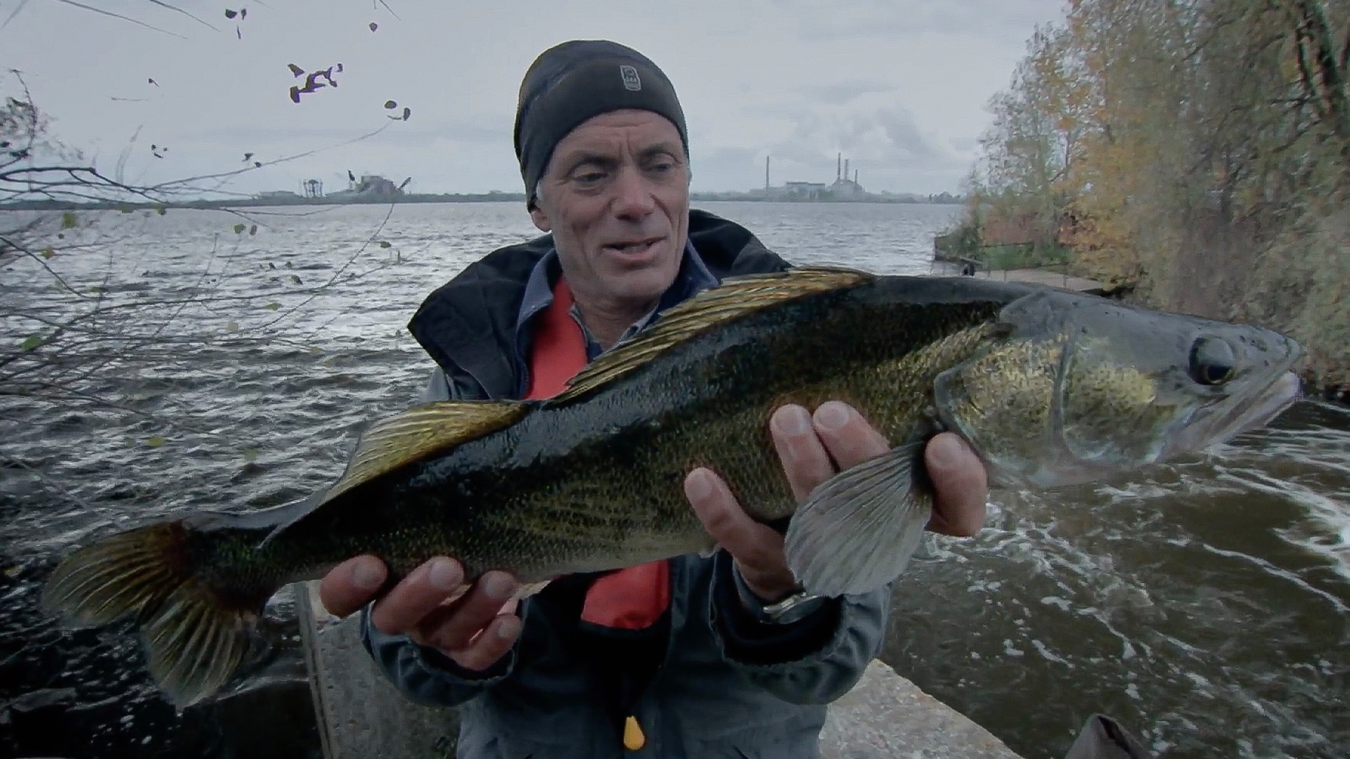 Der Mutantenfisch von Tschernobyl