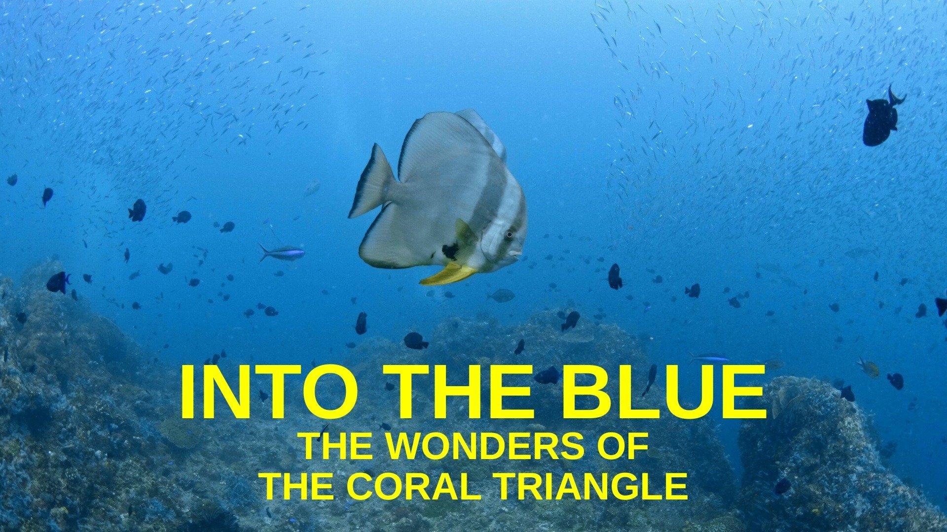 Into the Blue: The Wonders of the Coral Triangle