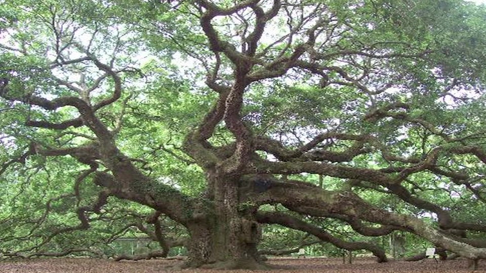 The Conspiracy Show With Richard Syrett