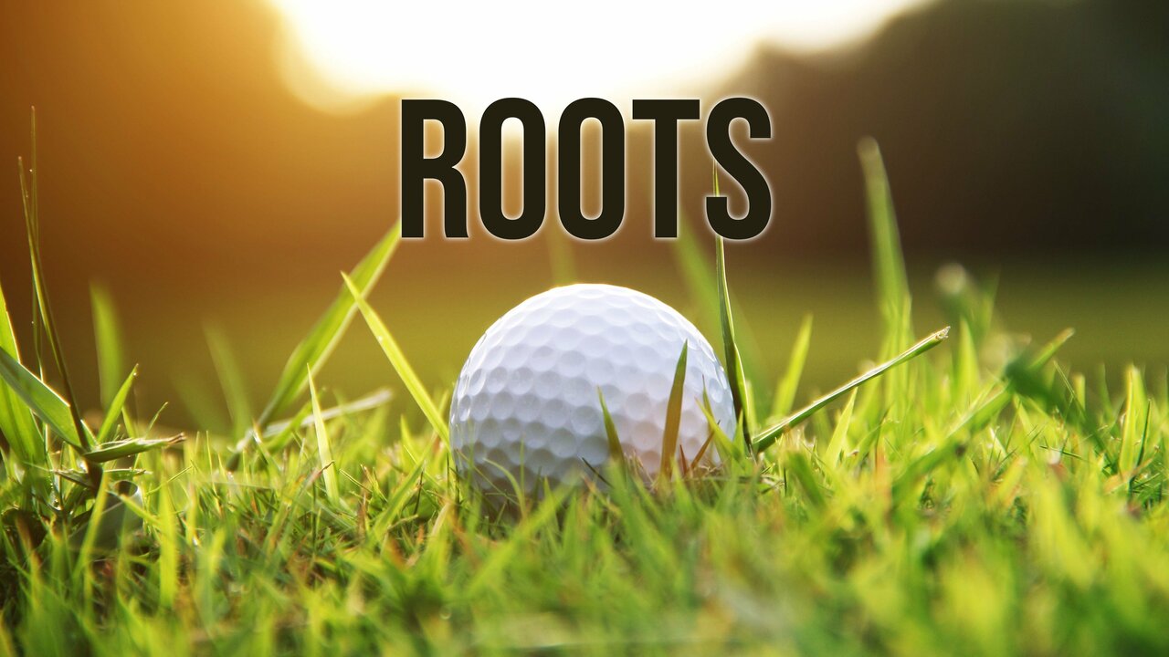 Roots: Nicolas Colsaerts