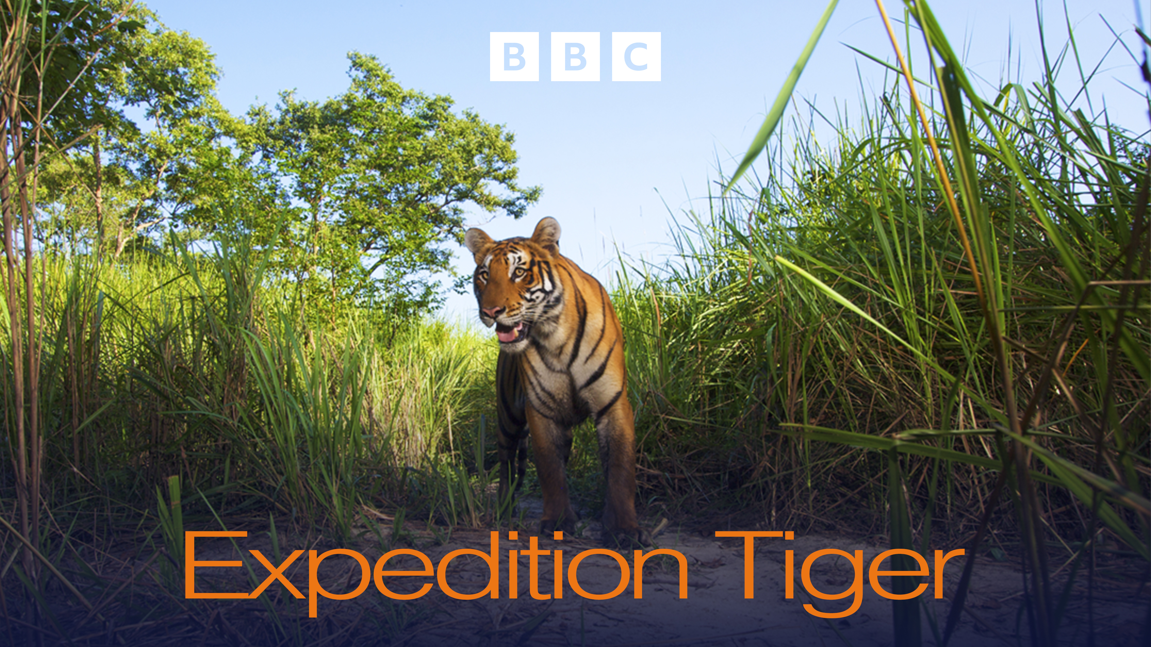 Expedition Tiger