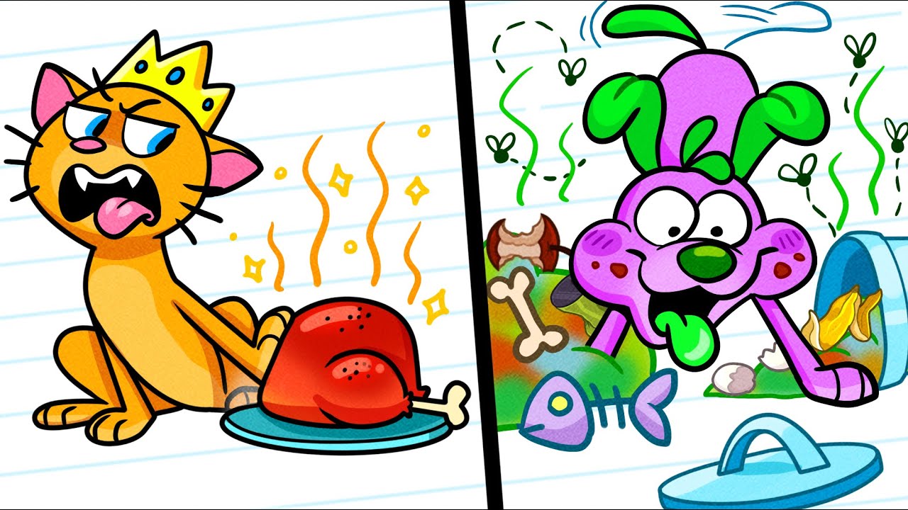 Rescatar a las mascotas sin hogar